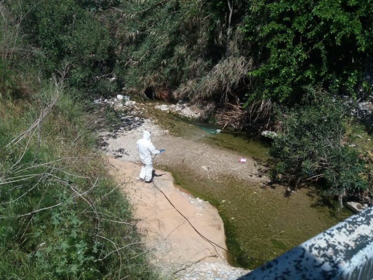 pikrodafnh_maios_2020_01