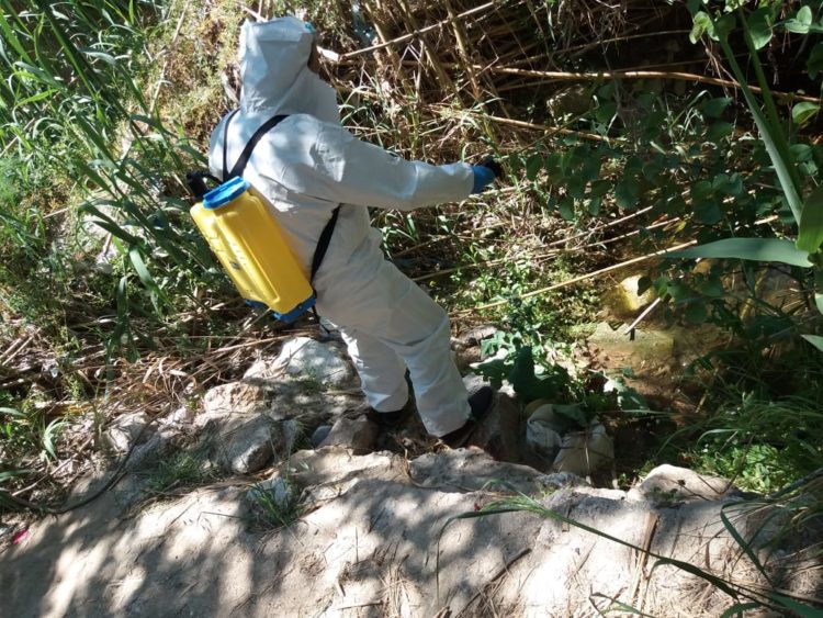 pikrodafnh_maios_2020_02