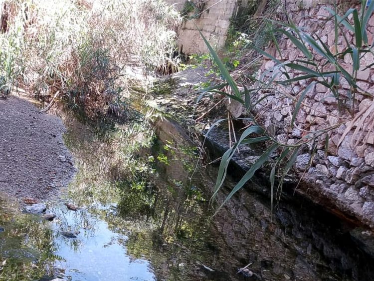 pikrodafnh_maios_2020_03