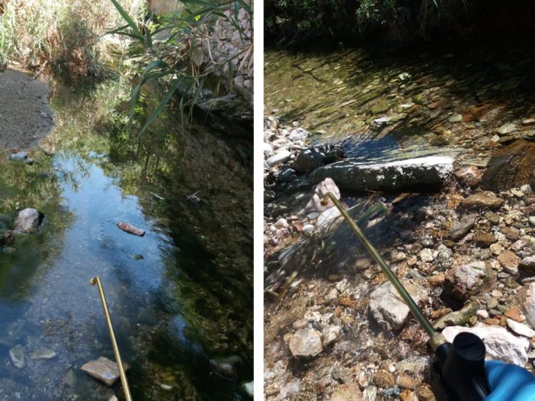 pikrodafnh_maios_2020_04