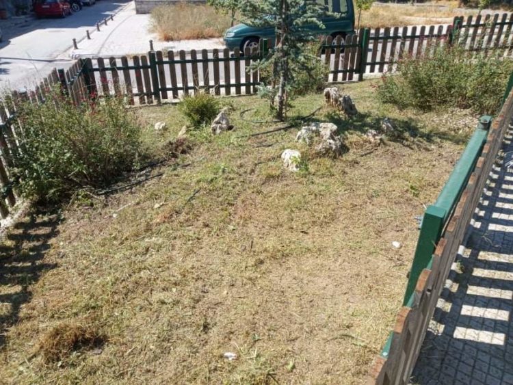 received_1106348993061840