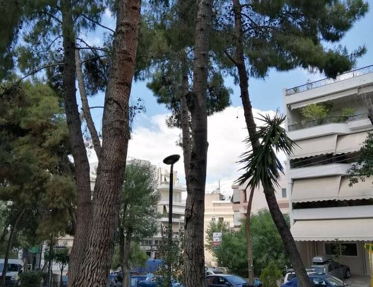 received_1162237870796330