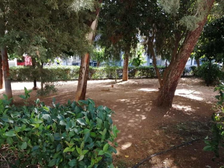 received_1165726617107706