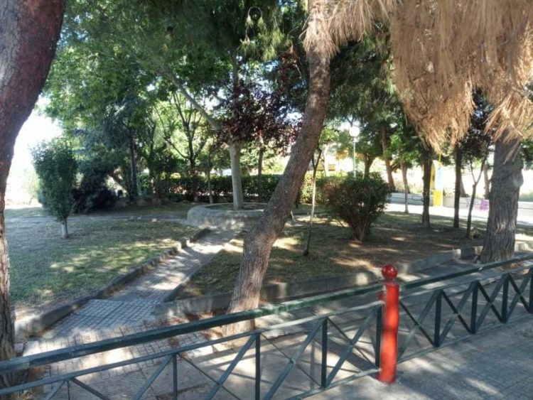 received_203084510680440