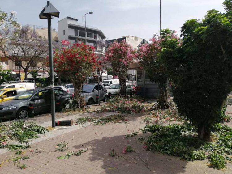 received_2615626155423212