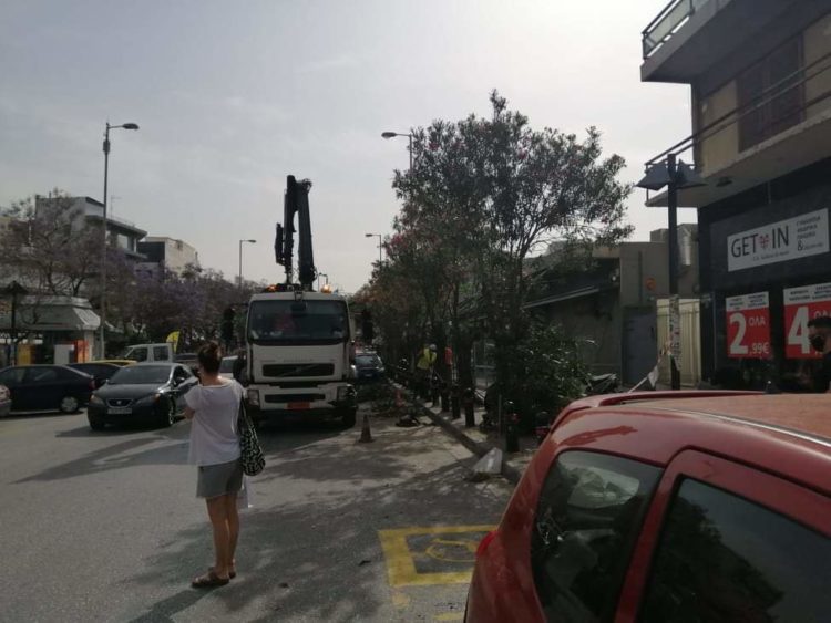 received_2916431755092592