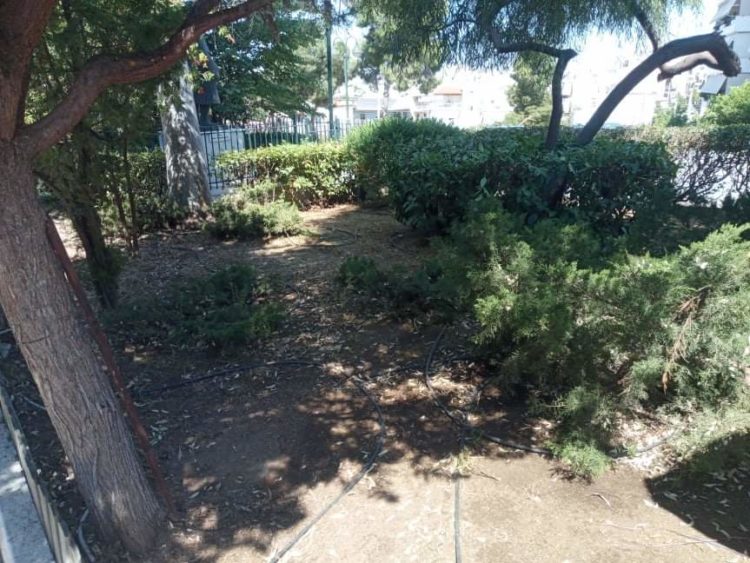 received_3212443492119682