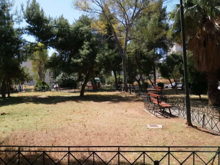 received_913299535799883