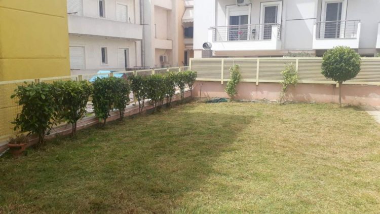 anaplash_prasinoy_maios_2020_01