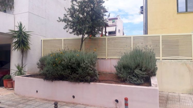 anaplash_prasinoy_maios_2020_06