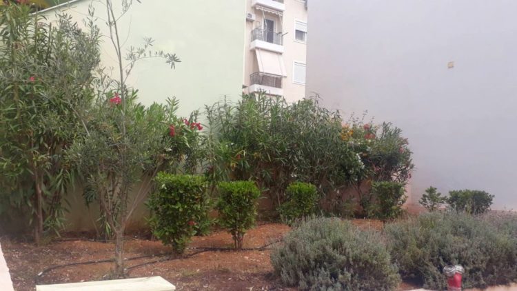 anaplash_prasinoy_maios_2020_12