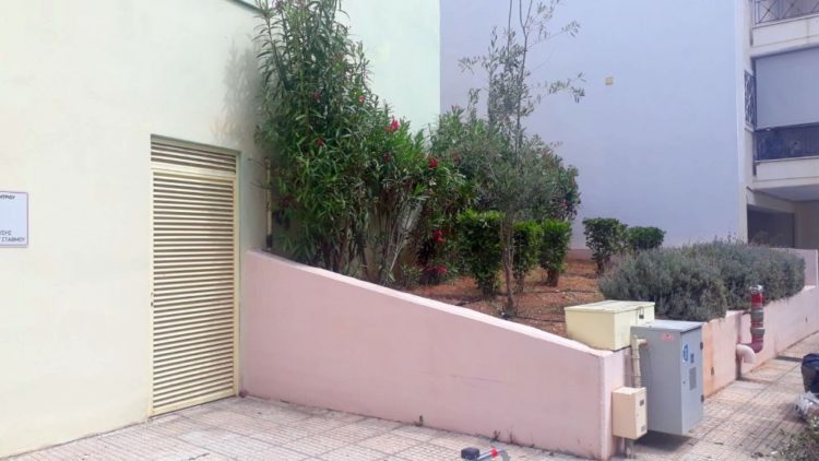 anaplash_prasinoy_maios_2020_14