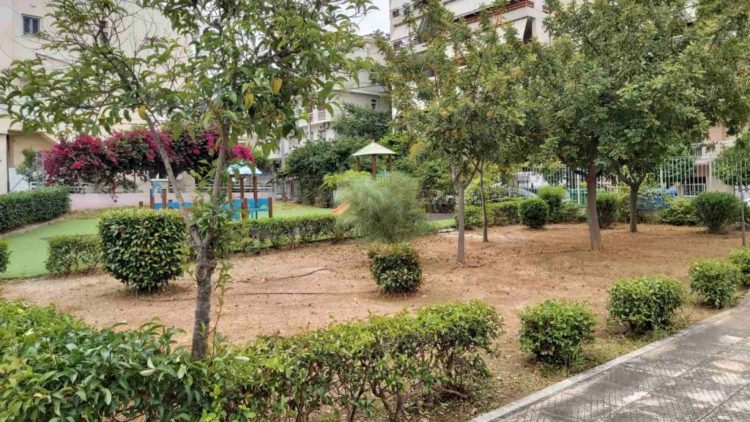 anaplash_prasinoy_maios_2020_16