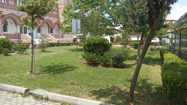 prasino_ioynios_2020_01