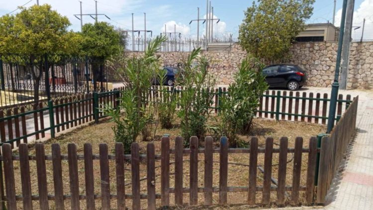 prasino_ioynios_2020_02