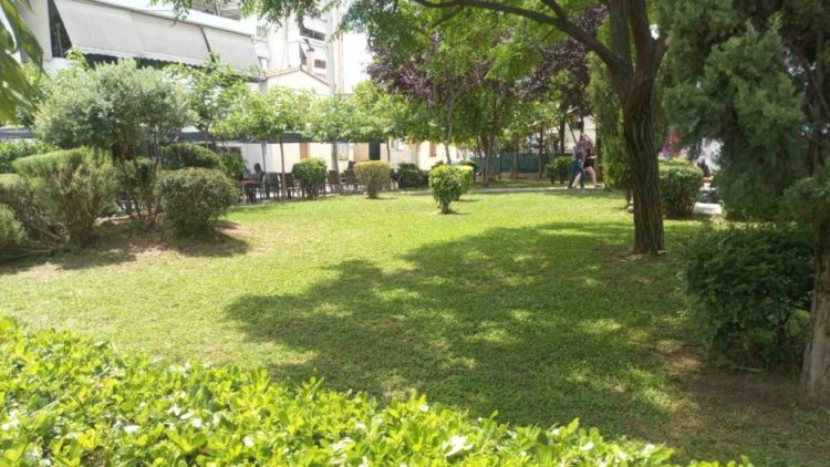 prasino_ioynios_2020_04