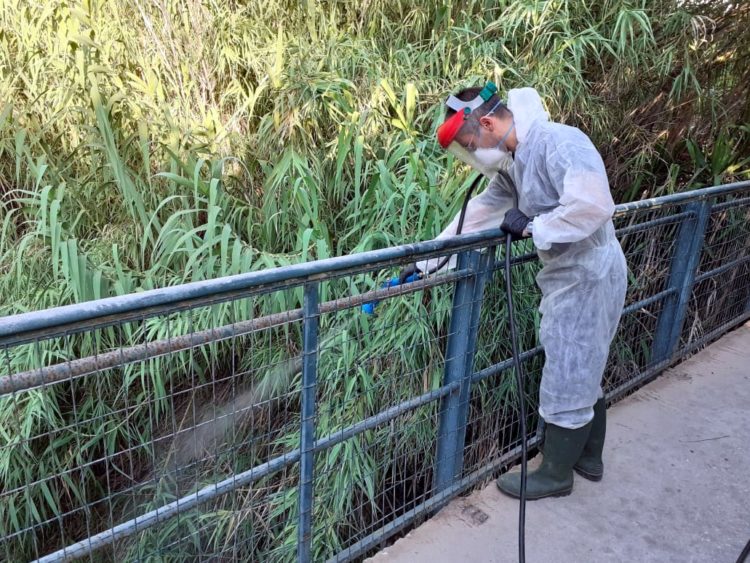 koynoypoktonia_aygoystos_2020_01