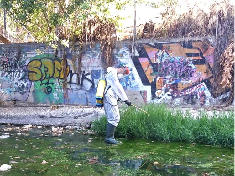 koynoypoktonia_aygoystos_2020_02