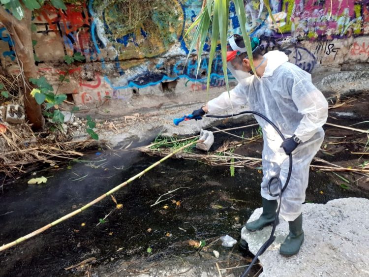 koynoypoktonia_aygoystos_2020_03