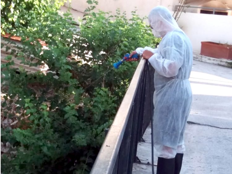 koynoypoktonia_aygoystos_2020_04