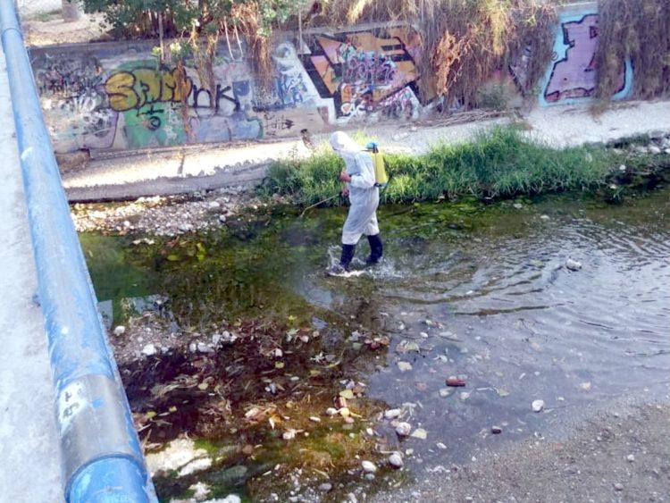 koynoypoktonia_aygoystos_2020_05