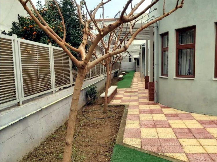 prasino_covid_10-1-2021_01