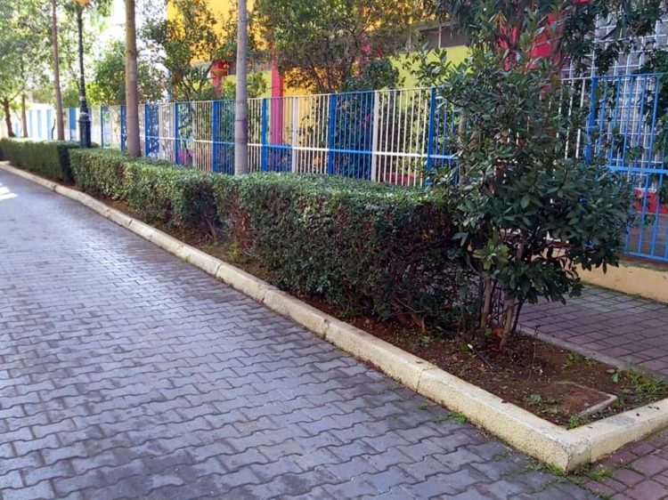 prasino_covid_10-1-2021_05