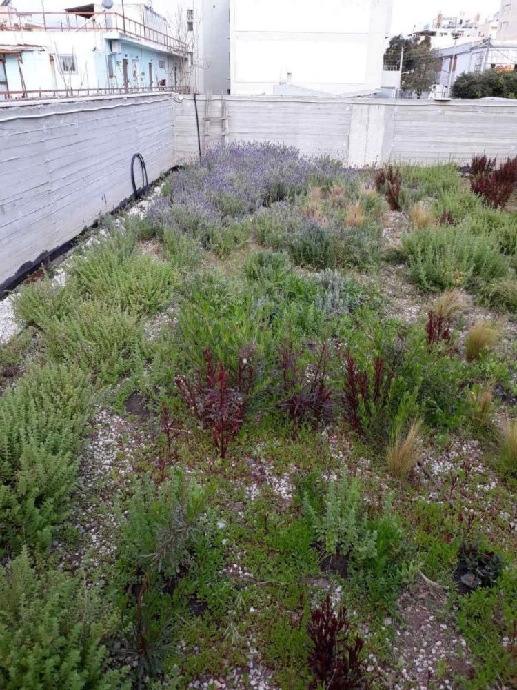 fytemena_dvmata_2021_04