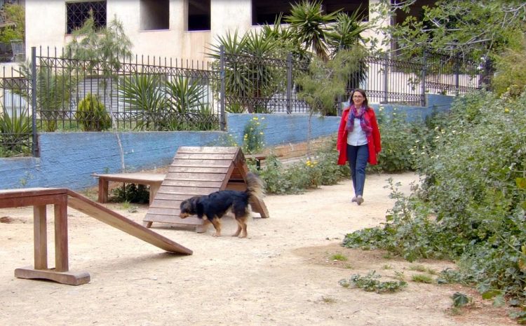 pagkosmia_hmera_zvvn_2019