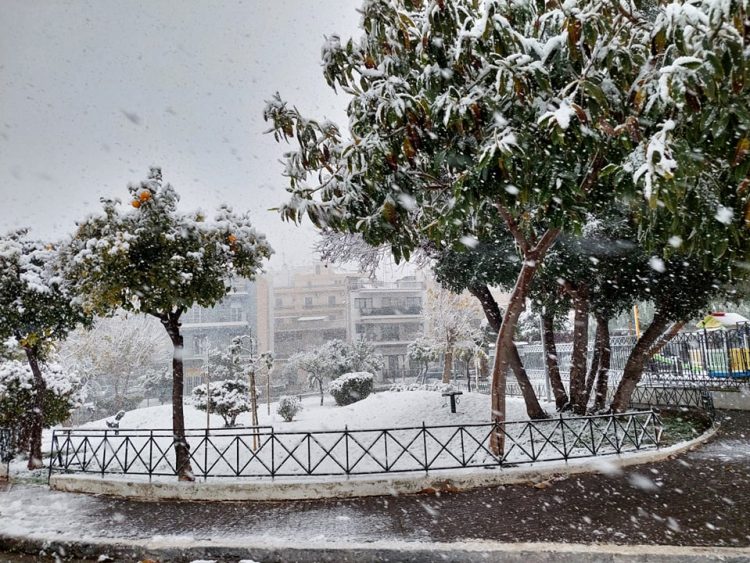 agios_dhmhtrios_24-1-2022 (1)