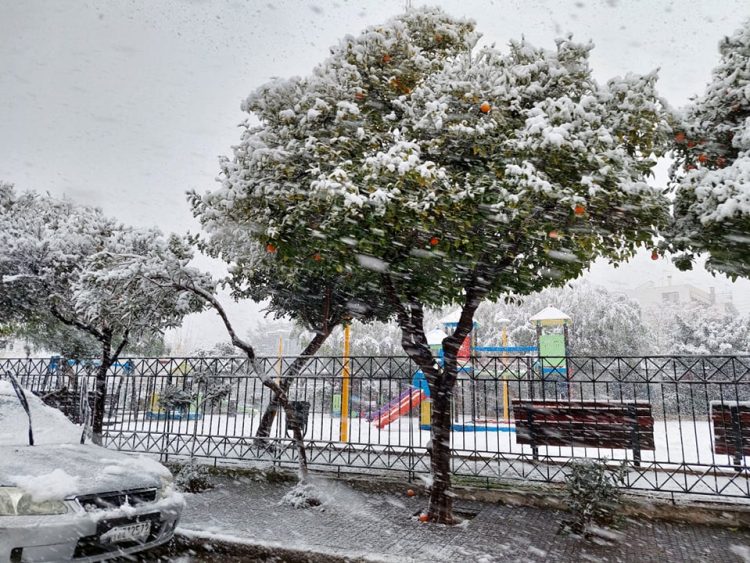 agios_dhmhtrios_24-1-2022 (3)