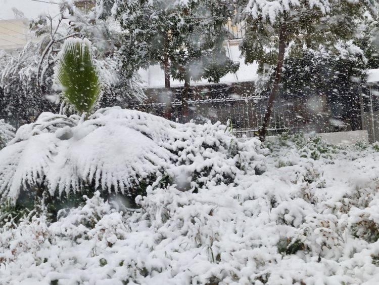 agios_dhmhtrios_24-1-2022 (5)