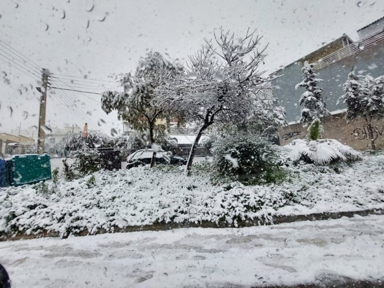 agios_dhmhtrios_24-1-2022 (6)