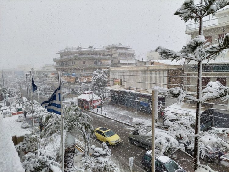 agios_dhmhtrios_24-1-2022 (7)